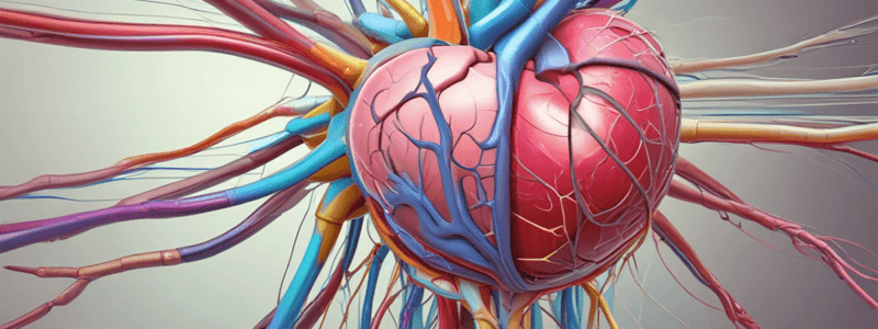 L17 Autonomic Control of the Heart