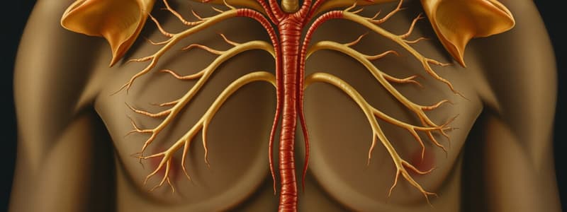 Overview of the Endocrine System