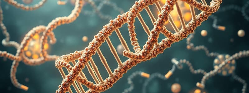 Molekulare Biologie: DNA und RNA