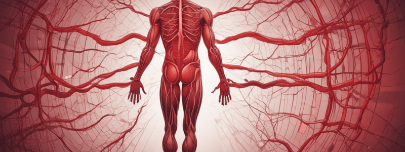 Human Blood and Blood Circulation