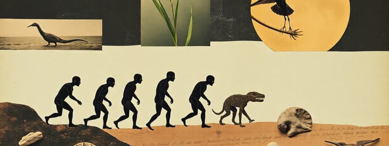 Evolution: Theories, Fossils, and Relationships