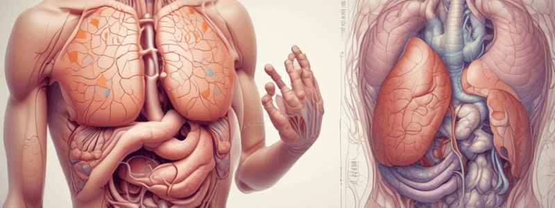 Digestive System Disorders and Complications