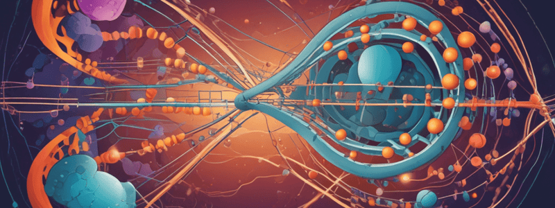 Protein synthesis: Translation of the genetic message