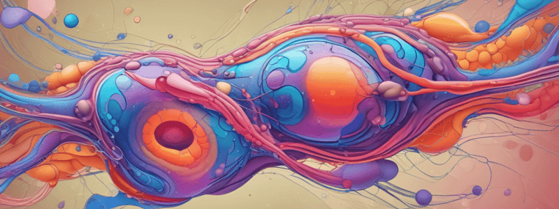 Temperature Transition in Lipid Bilayers and Membrane Fluidity