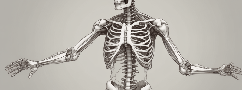 Scapula and Clavicle Features