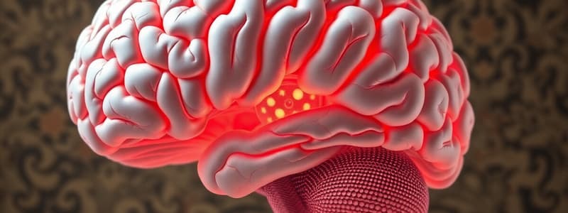 Brainstem Regions: Medulla, Pons, and Midbrain