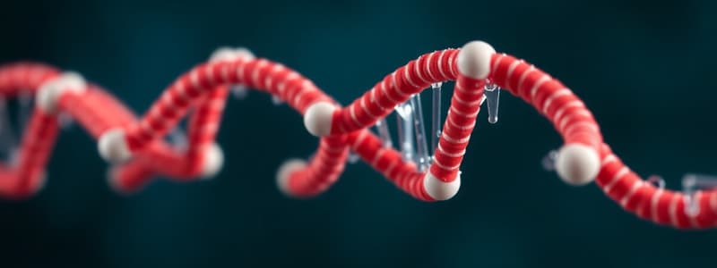 L-27- Anti-Folate Drugs and DNA Synthesis