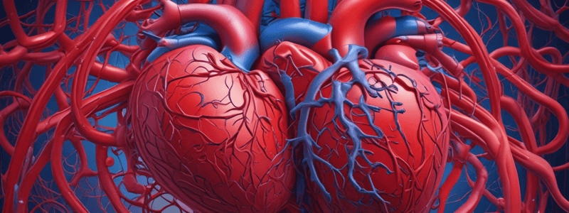 Cardiovascular System: Heart and Blood Vessels