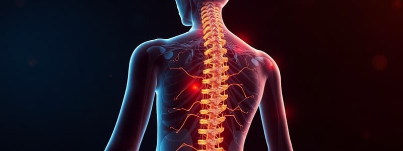 Faisceaux Vestibulospinal et Colliculospinal