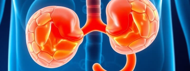 Adrenal Glands Overview