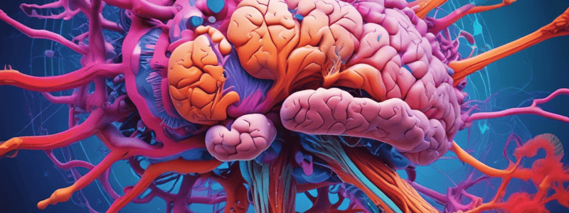 Forebrain Organization: Internal Structure & Basal Ganglia - Part III Quiz