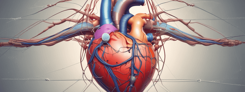 Physiology of Cardiac Function