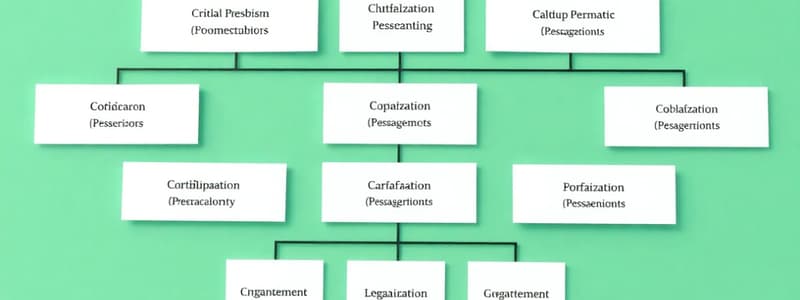 Organizational Structures Overview