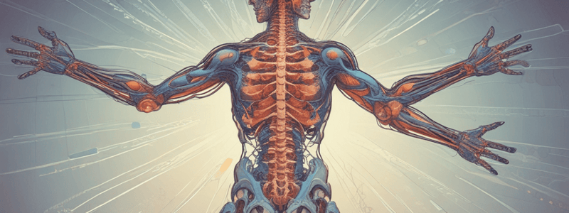 Pain Transmission and Inhibition in the Spinal Cord