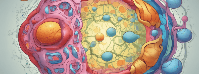 Biochemistry LE 3: Beta Oxidation and Ketogenesis