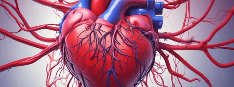 Coronary Blood Flow Autoregulation Quiz