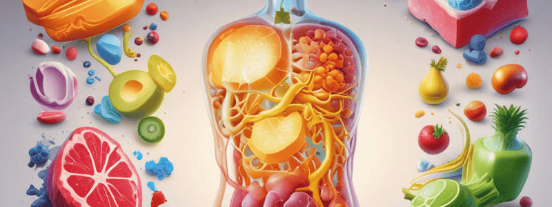 Metabolism and Nutrition Chapter 24 - Overview of Metabolic Reactions Quiz