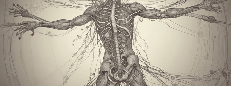 Anatomía y Fisiología del Sistema Nervioso