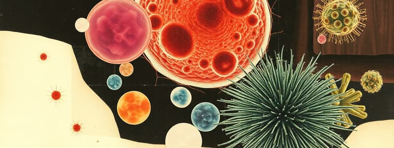 Prokaryotic vs. Eukaryotic Cells