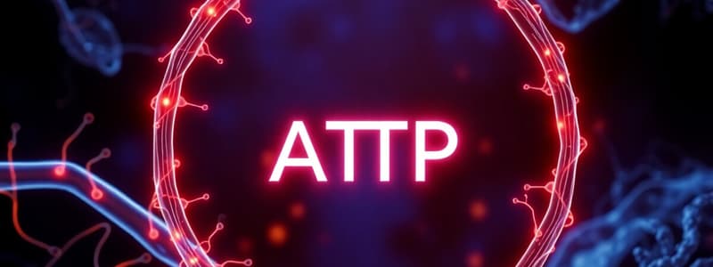 Cell Biology: ATP and Mitochondria Function