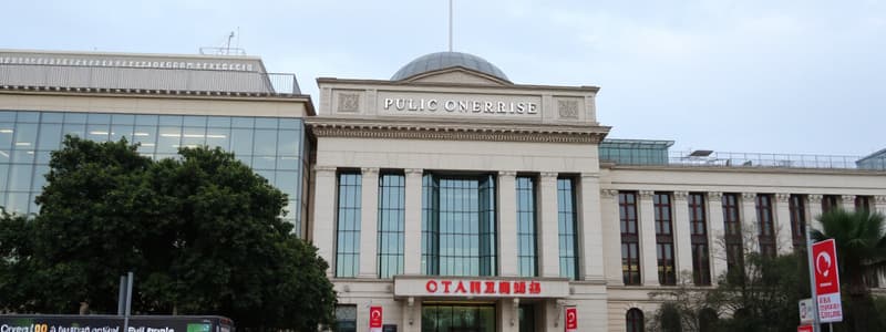 Public Enterprises Overview