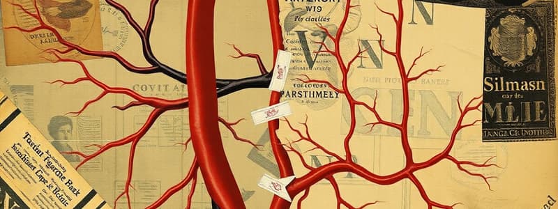 Circulatory System Overview Quiz