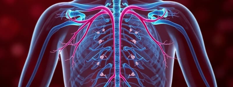 Endocrine System Overview