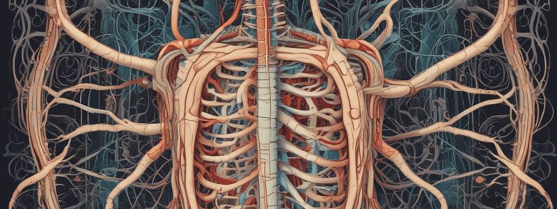 Enteric Nervous System (ENS) Functions