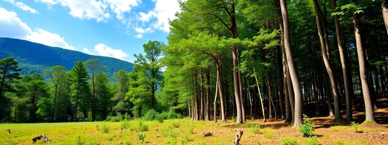 Aprovechamiento Forestal y Normativa