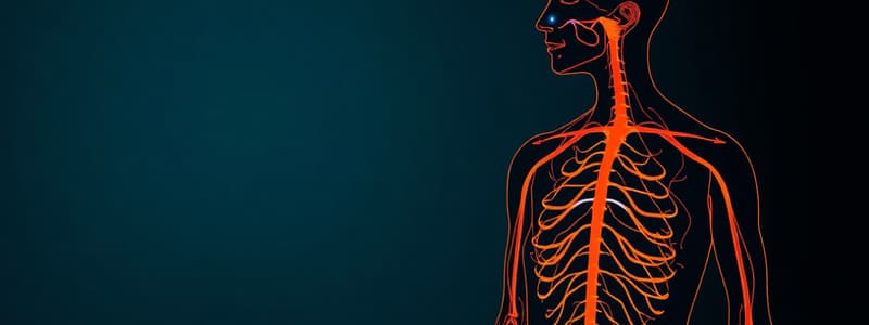 Autonomic Nervous System Overview