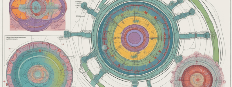 Cell Cycle Regulation