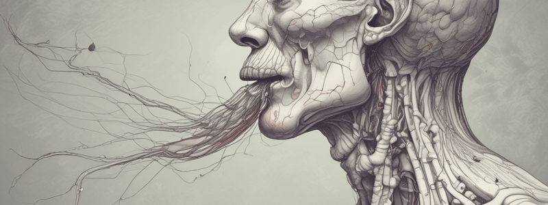 Physiology of Swallowing