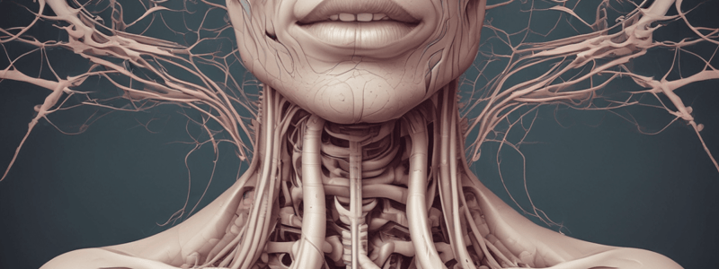 Structure and Function of the Trachea Quiz