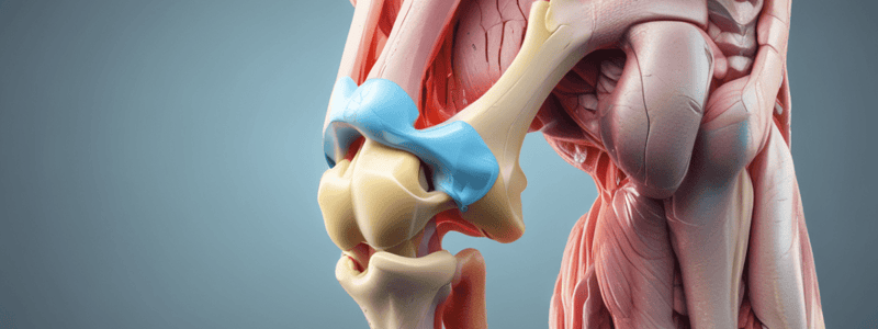 Human Anatomy: Knee Ligaments Quiz