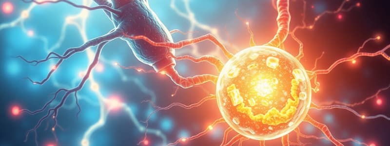 Biology Chapter: Cellular Energy & Circulatory System