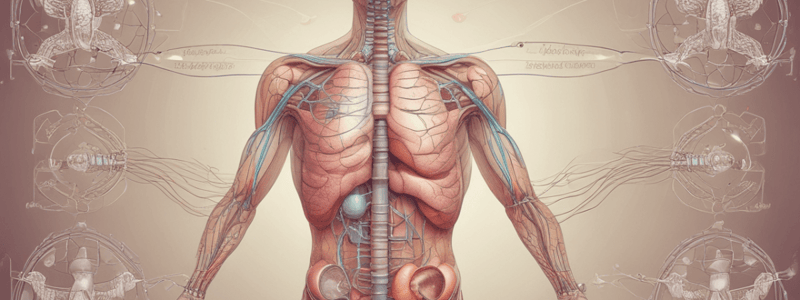 Respiratory Regulation and the Respiratory System