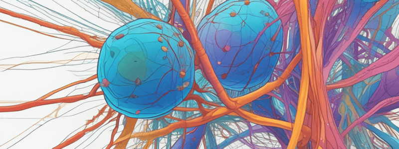 Cell Biology Chapter 3: Cytoskeleton and Cellular Motility