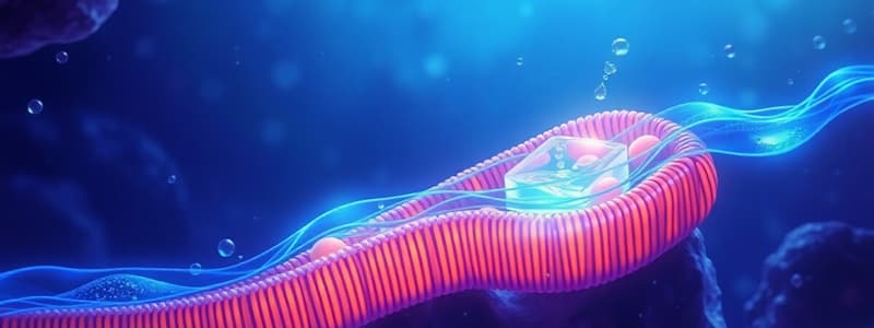 Transport Across Cell Membranes Quiz