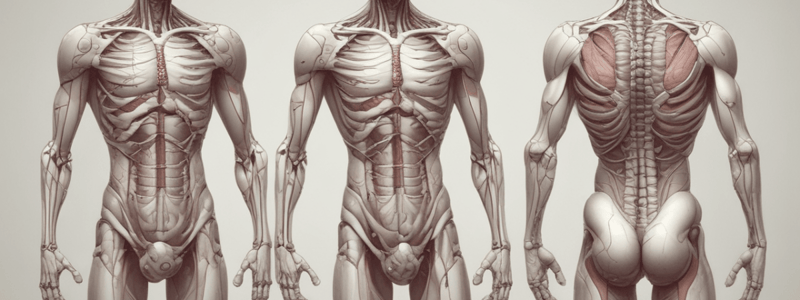 Introduction to Anatomy