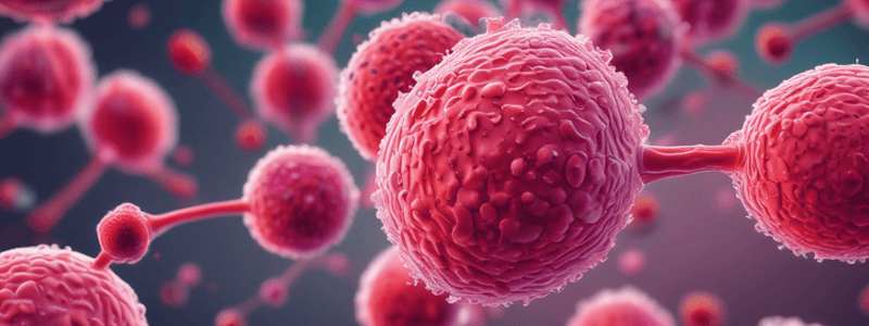 Gonorrhoeae and Gram-Negative Bacteria Quiz