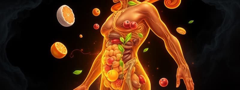 Nutrición y Metabolismo