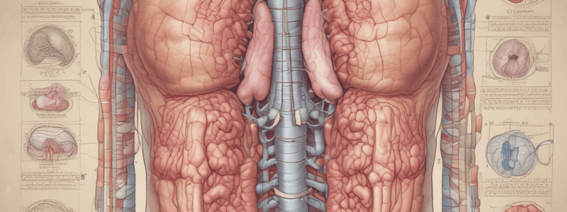 Upper GI Pathologies