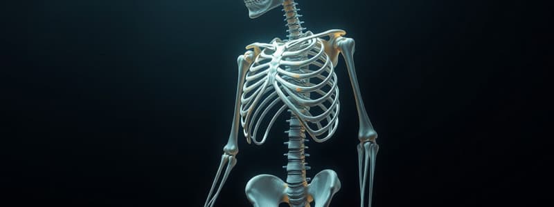 Skeletal System Composition Quiz