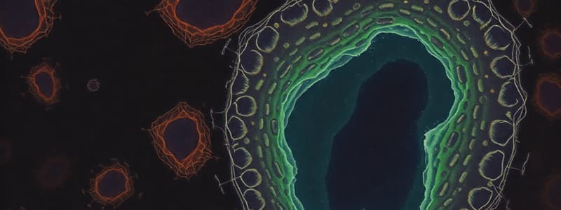 Week 1 - Cells and Tissues