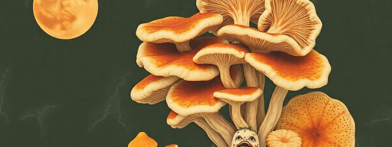 Kingdom Fungi Overview Quiz