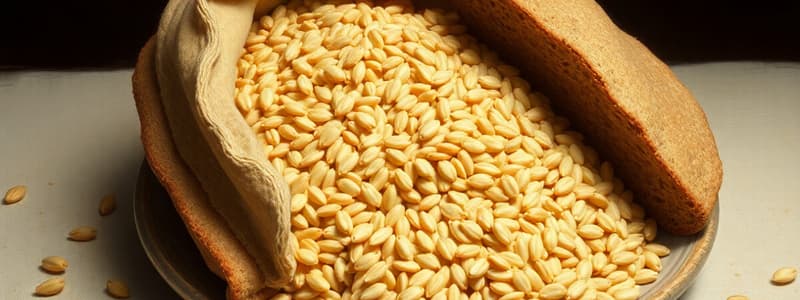 Carbohydrates and Whole Grains