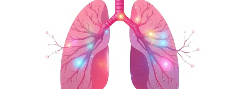 Respiratory System Overview