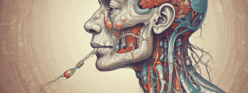 Upper Airway Anatomy Quiz