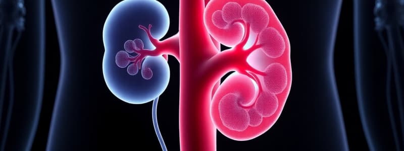 L1 Endocrinal function of kidney (P2 Hard)