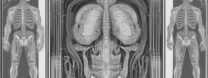 Computed Tomography (CT) Scan Principle